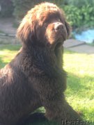 Превью фото № 227831