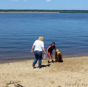 Превью фото № 227860
