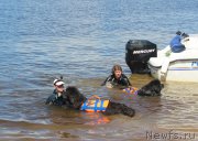 Превью фото № 227916