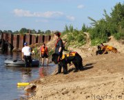 Превью фото № 227960