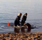 Превью фото № 228002