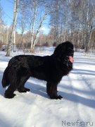 Превью фото № 228026