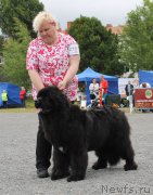 Превью фото № 228038