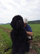 Превью фото № 228050