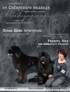 Превью фото № 228112