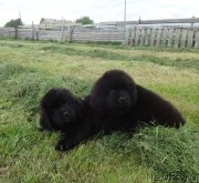 Превью фото № 228149