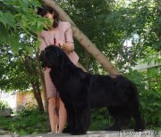 Превью фото № 228164