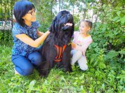 Превью фото № 228190