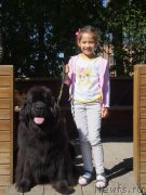 Превью фото № 228191