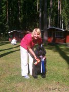 Превью фото № 228195