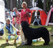 Превью фото № 228198