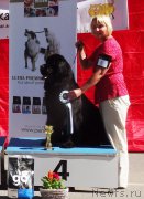 Превью фото № 228199