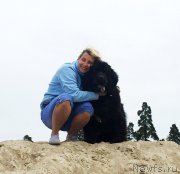 Превью фото № 228204