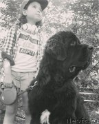 Превью фото № 228209