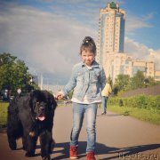 Превью фото № 228210