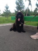 Превью фото № 228226