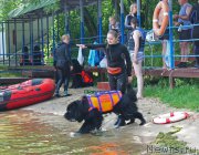 Превью фото № 228274