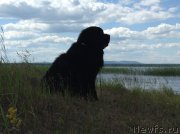 Превью фото № 228284