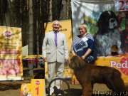 Превью фото № 228318