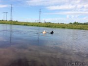 Превью фото № 228377