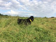 Превью фото № 228379