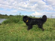 Превью фото № 228380