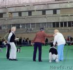 Превью фото № 22839