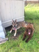 Превью фото № 228395