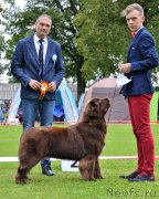 Превью фото № 228401