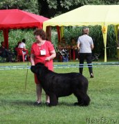 Превью фото № 228439