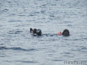 Превью фото № 228511