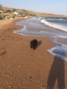 Превью фото № 228532