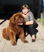 Превью фото № 228544