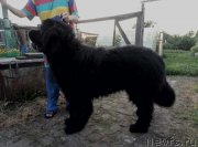 Превью фото № 228549