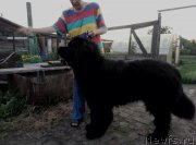 Превью фото № 228550