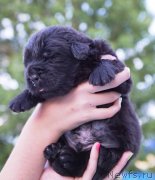 Превью фото № 228552