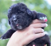 Превью фото № 228553