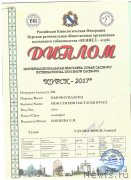 Превью фото № 228560