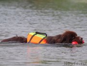 Превью фото № 228571