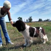 Превью фото № 228584