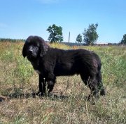 Превью фото № 228593