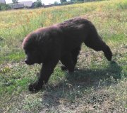 Превью фото № 228597