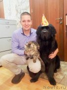 Превью фото № 228605