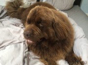 Превью фото № 228608