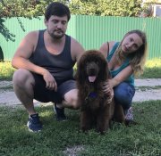 Превью фото № 228617