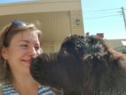 Превью фото № 228620