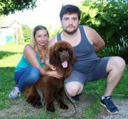 Превью фото № 228652