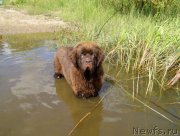 Превью фото № 228667