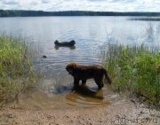 Превью фото № 228669