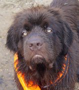 Превью фото № 228672